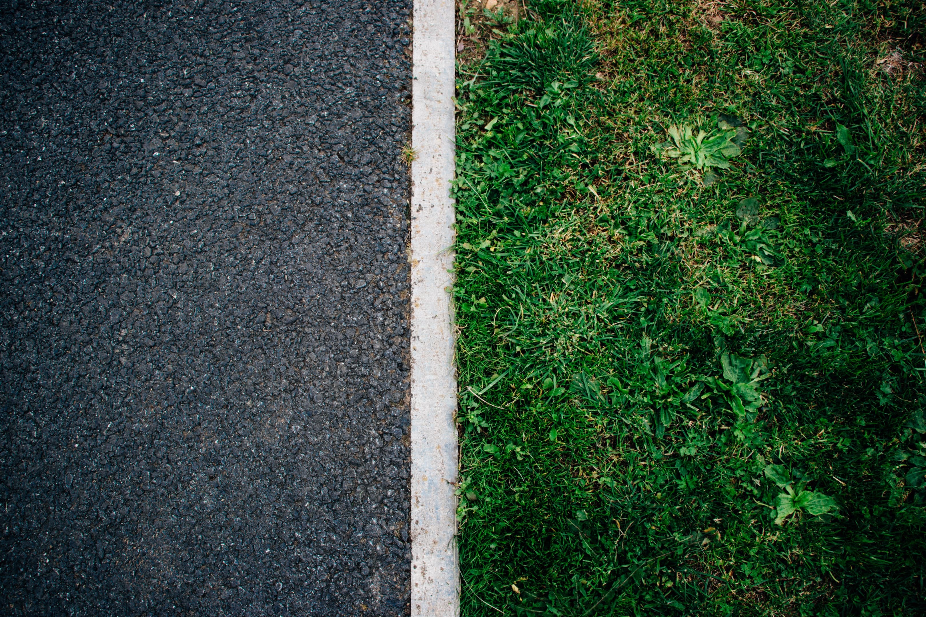 CSS Grid vs Flex in Real Life